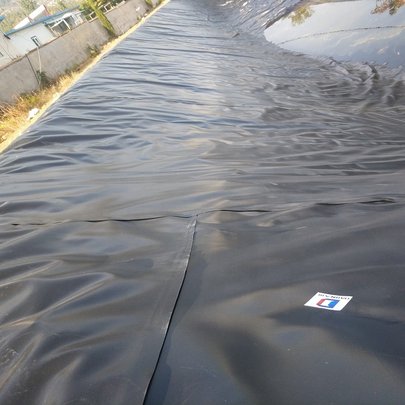 Бесплатный образец 2,0 мм HDPE геомембрана для проекта полива
