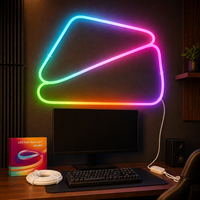 Ruban lumineux néon RGBIC moderne 5M en silicone, synchronisation musicale, contrôle APP 2.4G, compatible Alexa et Google Assistant, éclairage uniforme, décoration intérieure créative