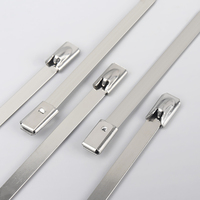Edelstahl SS 316 Nylon PVC beschichtet 4,6x150mm Metall nachweisbarer Kabelbinder 4,6mm Breite 400mm Länge Schloss PPA Polyamid