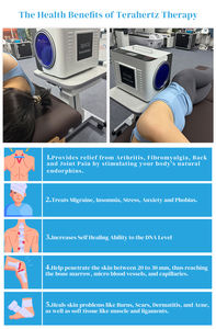 Alat pijat Terahertz portabel, alat Magnet THz meringankan nyeri otot harga grosir - Product Image 3