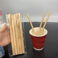 Lot de pailles à boire en bambou 100% naturel, 2 pièces, de haute qualité
