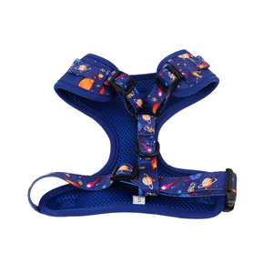 Personalisiertes Hundegeschirr-Set, Modisches Umweltfreundliches Hundegeschirr und Leine, Komfortables Atmungsaktives Hundegeschirr-Set - Product Image 6