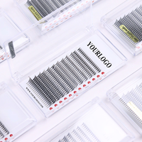 Nouveau Wispy Anime Comic Spire 0.07mm Extension de cils coréen PBT noir mat Spike Anime Lash Extensions
