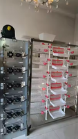 Cages en batterie pour poules pondeuses en plastique avec courroies pour la production d'œufs