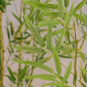 Longstar mô phỏng tre trang trí màn hình phân vùng sàn chậu cây trong nhà sân tre - Product Image 3