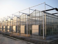 Mini serre en verre trempé avec hydroponie pour l'agriculture