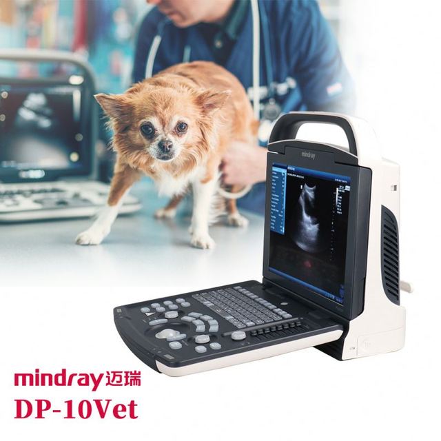 Mindray Dp10 Veterinary Ultrasound Machine Sonda Enocavitario Mindray Dp10