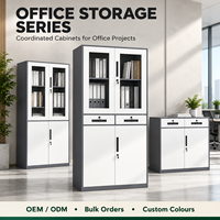 Armoire de classement en acier avec deux tiroirs côte à côte, portes vitrées et rangement inférieur verrouillable pour projets de bureau, fourniture OEM ODM
