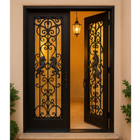 Portes d'entrée en fer forgé noires à double battant, avec design en verre, pour l'extérieur et l'intérieur, appartement, sécurité française