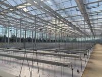 Venlo-type glazen kas met intelligent systeem voor hydroponische teelt van groenten, fruit en bloemen
