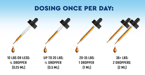 NAD + 1000mg Nicotinamide Énergie et antioxydant Riboside PQQ Suppléments à base de plantes pour boissons liquides Améliorer l'immunité - Product Image 2