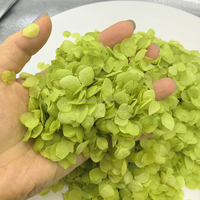 Kelopak Bunga Hydrangea Anna Kuning Keemasan Kelas A 100% Alami yang Diawetkan untuk Konfeti Bunga Pernikahan Bahan Dekorasi DIY