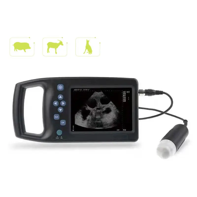 Produzione in fabbrica nuova buona qualità M6 scansione veterinaria B-Ultrasound Instrument Machine veterinaria Ultrasound