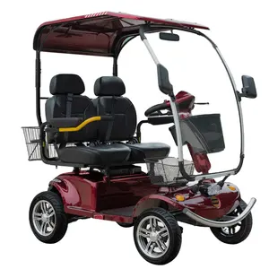 2 Zits Golf Scootmobiel Met Golftas Houder