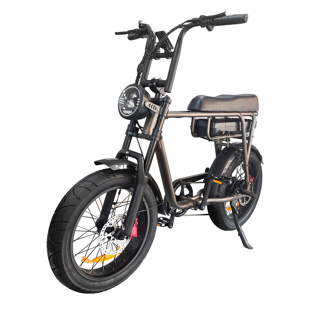 Beach Cruiser Europe Retro Electric Bikes 26