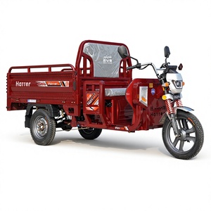 Triciclo Eléctrico de 800W 60V40AH, Motocicleta de Carga de 3 Ruedas para Adultos, Alta Capacidad de Carga, Largo Alcance, Neumáticos de Alta Adherencia, E-Trike - Product Image 1
