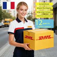 Service d'expédition de marchandises surdimensionnées de Chine vers la France, entrepôt UE, logistique, transit maritime et aérien en 45-50 jours, support 24/7, assurance