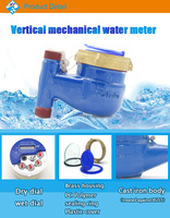 Vertical Installation Brass Mechanical Water Meter with IP68 Protection OEM Customizable for Reading
