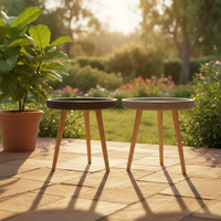 Table basse moderne minimaliste en fibrociment avec pieds en bois, écologique, faite à la main, pour l'intérieur et l'extérieur, meubles de salon