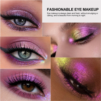Palette de fards à paupières secs de voyage personnalisable, finition scintillante lumineuse, poudre métallique pour le maquillage des peaux claires