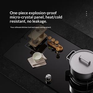 Estufa de Gas de Doble Propósito Lemed Eléctrica con Placa de Inducción Integrada, Alemania - Product Image 3