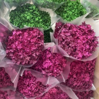 Hydrangea naturel séché et préservé, fleur décorative pour centre de table du Nouvel An chinois - Prix usine, longue durée de vie