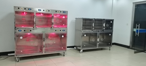 LIZE lujo acero inoxidable 304 mascota Hospital jaula Banco hierro veterinario perro gato veterinario clínica portador Animal patrón para pájaros - Product Image 5