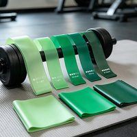 Ensemble de 5 bandes de résistance en TPE de qualité professionnelle pour l'exercice, le yoga, le Pilates, la remise en forme à domicile et l'entraînement en salle de sport