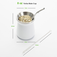 Southamerica – gourde brésilienne en acier inoxydable isolé à Double paroi, tasse à thé, tasse, gobelet, 8Oz