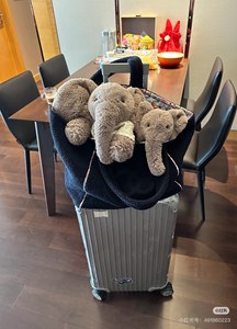 Peluche Jelly Catt Smudge Elephant, tutti e tre i modelli sono disponibili e vengono forniti con confezioni regalo. - Product Image 5