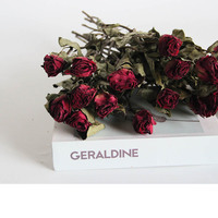 Super qualité Une plus grande taille de fleur fleurs séchées naturelles pour mariage douche nuptiale fête ou décoration de table à la maison