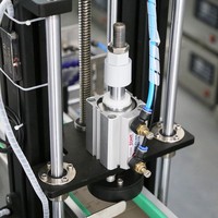 Ligne de machine de remplissage et de capsulage de pompe magnétique liquide de diffuseur de roseau de parfum de bouteille d'huile essentielle liquide cosmétique