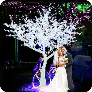 Guirlande lumineuse LED d'extérieur imperméable pour Noël, couleur personnalisée, éclairage décoratif de parc, éclairage des cerisiers en fleurs - Product Image 4