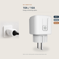 Prise intelligente WiFi YDD Alexa Google Home Tuya 10A 16A 1 prise 2,4 GHz avec surveillance de la consommation d'énergie, commande vocale et minuterie pour usage commercial