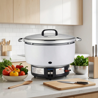 Cuisinière à riz au gaz en fonte de 7L à 30L avec nettoyage et installation faciles, poids de 26 kg, garantie de 1 an sur les pièces