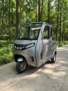 <span class=keywords><strong>รถ</strong></span><span class=keywords><strong>กระบะ</strong></span>ไฟฟ้าสามล้อความเร็วต่ำขายดี 60V <span class=keywords><strong>รถ</strong></span>บรรทุกไฟฟ้าแบบมีหลังคาพร้อมกระบะขนาดเล็กสำหรับบรรทุกสินค้า - Product Image 4