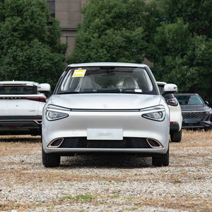 Nuevo Dongfeng Nammi 01 2026, Auto Eléctrico con Autonomía de 430km/330km, Vehículo de Nueva Energía, Mini Auto Eléctrico Nammi 01 - Product Image 2