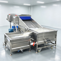 Laveuse commerciale à bulles d'air et à rouleaux brosse pour gingembre, patate douce et pommes de terre, pour usine de transformation alimentaire