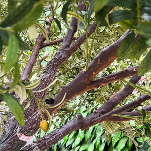 Albero di Ulivo Artificiale in Seta 350cm, Ecologico <span class=keywords><strong>e</strong></span> Durevole, <span class=keywords><strong>Verde</strong></span> Realistico per Decorazioni Interne ed Esterne, Casa <span class=keywords><strong>e</strong></span> Matrimoni - Product Image 5