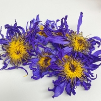 Vente en gros OEM de fleurs de lotus bleu séchées, thé naturel et sain aux fleurs, thé chinois en fleurs, thé au lotus bleu