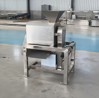 Automatische, motor aangedreven fruit- en groentepulpmachine van roestvrij staal, 10kg/u, 380V, industriële hoge productiviteit