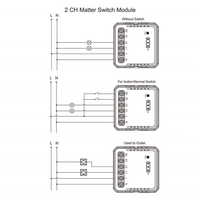Module d'interrupteur intelligent Larkkey Tuya Matter 2 voies OEM IP20, disjoncteur relais sans fil