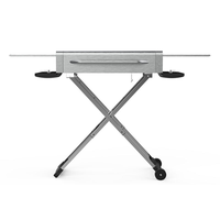 Barbecue au charbon de bois de type X pour l'extérieur, barbecue portable pliable, barbecue de pique-nique au charbon de bois