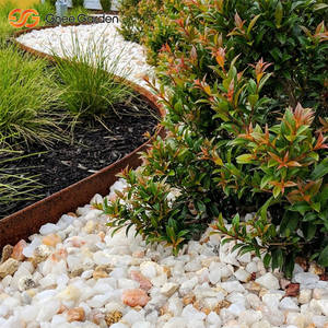 Bordure de lit surélevée en acier Corten parfaite pour les bordures de plantes - Product Image 4