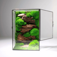 Terrarium en verre pour plantes, mousse préservée, micro-paysage pour la décoration de la maison, du jardin, du bureau ou de la table