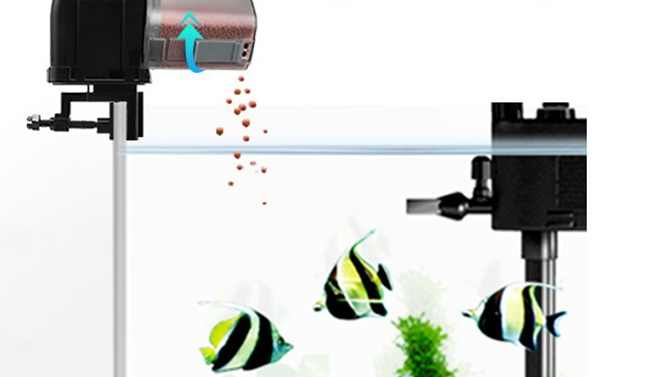 Alexa Fish Feeder - Smart, Automatic Fish Feeding Timer