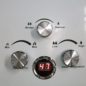 Nuevo modelo de calentador de agua caliente de <span class=keywords><strong>Gas</strong></span> Natural LPG Gaz para exteriores 6L13L20L <span class=keywords><strong>caldera</strong></span> instantánea para apartamento doméstico - Product Image 5