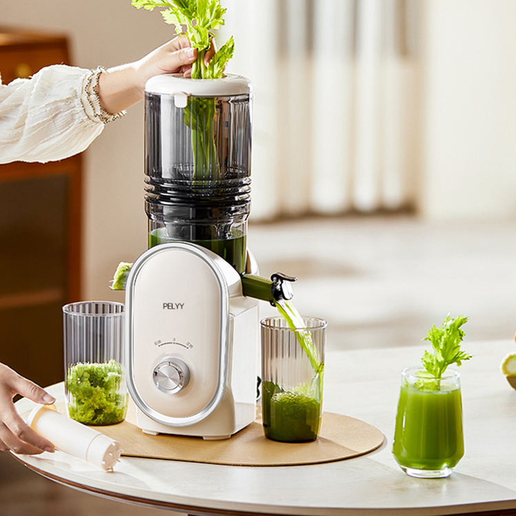 Fruit Juice Maker Good Juicer For Celery Electric Juicer Best