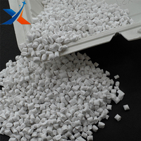Masterbatch en plastique PP rempli de carbonate de calcium 450-25, poudre de dolomite, qualité film soufflé, qualité moulage par soufflage, qualité alimentaire, blanc jetable