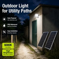 Projecteur LED à double panneau solaire, étanche IP66, conception séparée pour l'éclairage agricole, paysager et commercial
